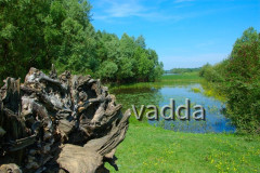 Naturpark Lonjsko Polje