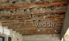 Naturpark Lonjsko Polje