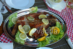 Naturpark Lonjsko Polje