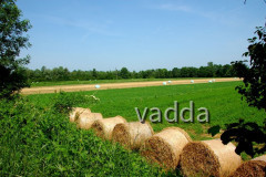 Naturpark Lonjsko Polje