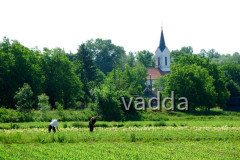 Naturpark Lonjsko Polje