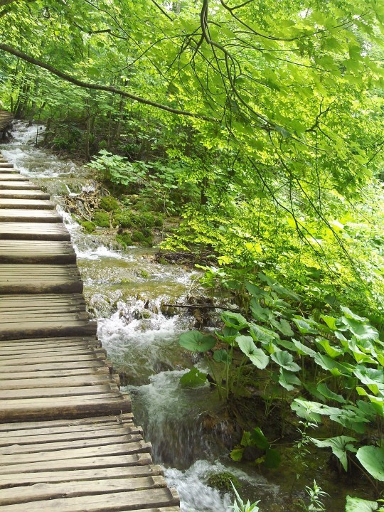 Plitvicer Seen 22