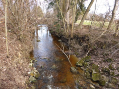 Im Moos am 24. Februar