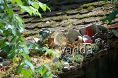 Naturpark Lonjsko Polje