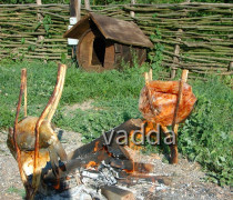 Naturpark Lonjsko Polje