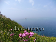 Cap Frehel