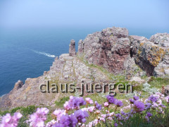 Cap Frehel