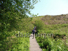 Cap Frehel