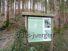 Ottobeuren Geologische Orgeln