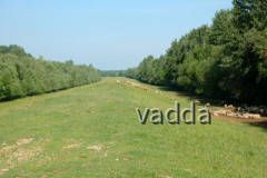 Naturpark Lonjsko Polje