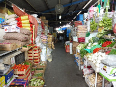Dubai Deira Fish Market