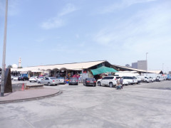 Dubai Deira Fish Market
