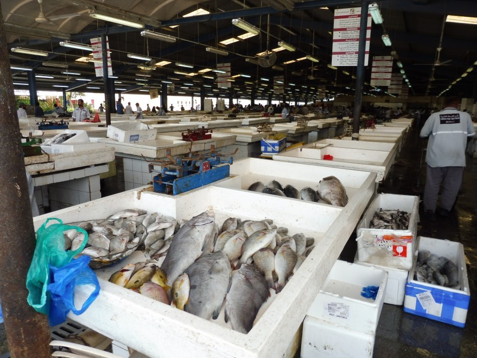 Dubai Deira Fish Market