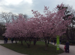 Stadtpark