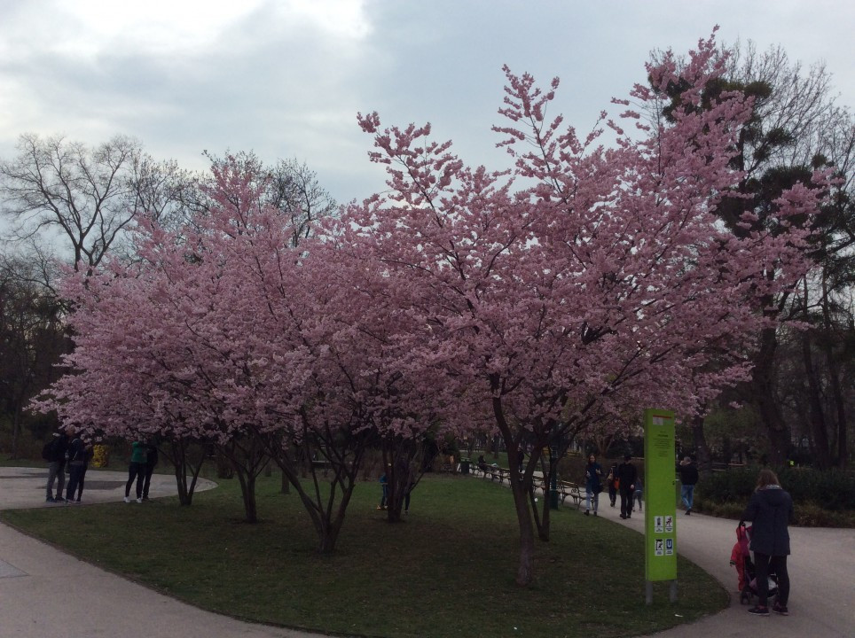 Stadtpark