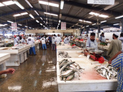 Dubai Deira Fish Market