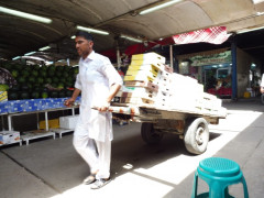 Dubai Deira Fish Market