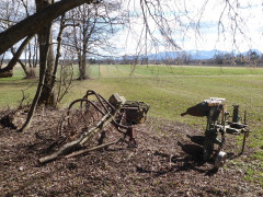 Am Waldrand