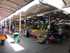 Dubai Deira Fish Market