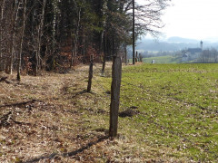 Frühling am Irschenberg 23.3.19