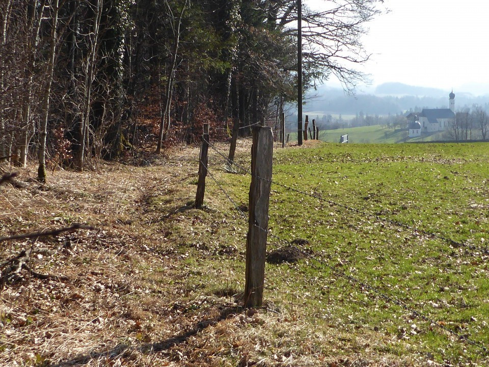 Frühling am Irschenberg 23.3.19