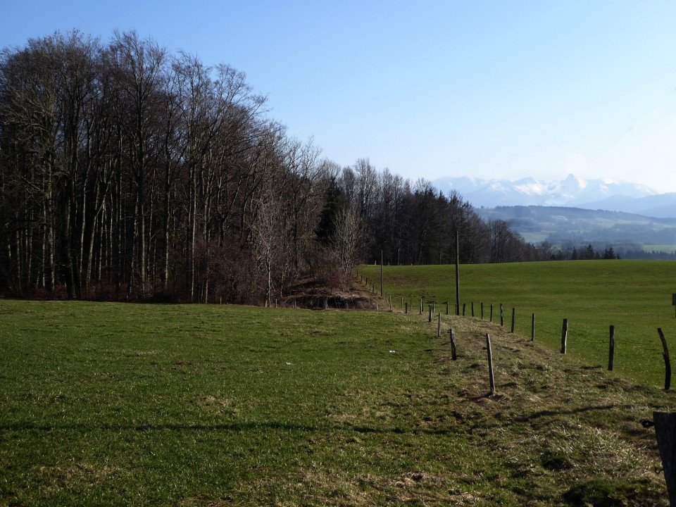 Frühling am Irschenberg 23.3.19