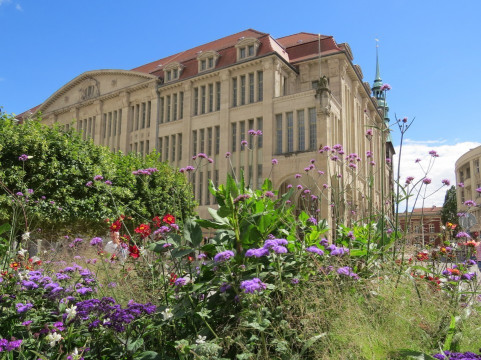 Görlitzer Warenhaus