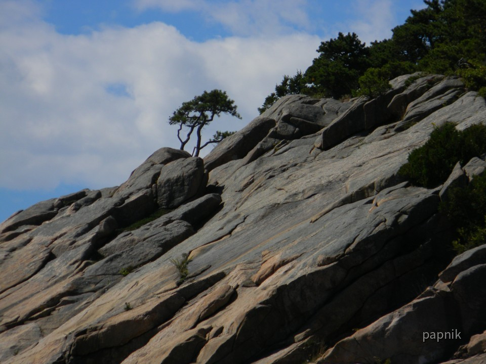 Acadia NP