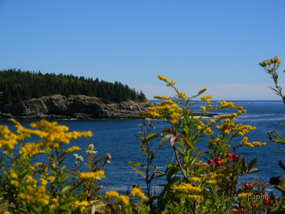 Acadia NP