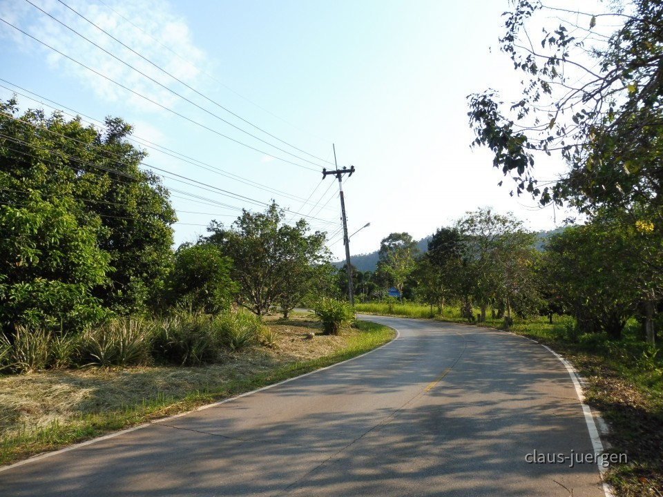 Plantage (13)