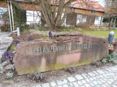 Schmetterlinge Botanischer Garten
