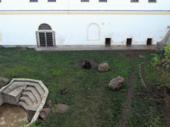 04 Torgau Hartenfels Bären