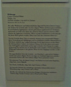 14 Torgau Hartenfels