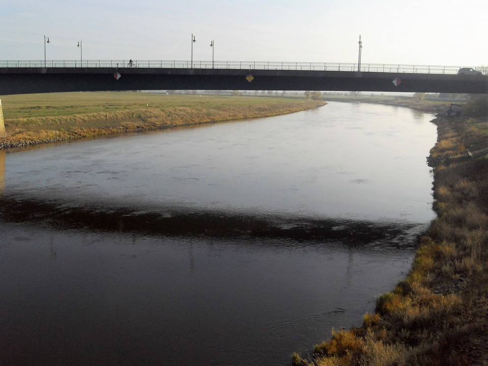 24 Torgau Elbe Flussaufwärts