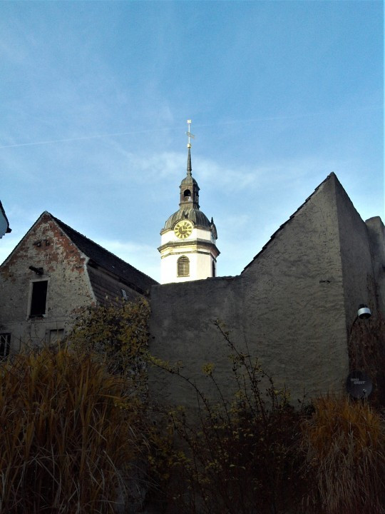 31 Torgau Altstadt