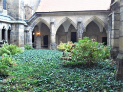 05 Meissen Dom