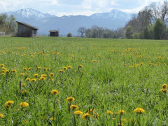 Chiemsee 16.4.19