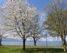 Chiemsee 16.4.19