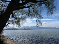 Chiemsee 16.4.19