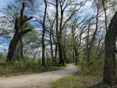 Chiemsee 16.4.19