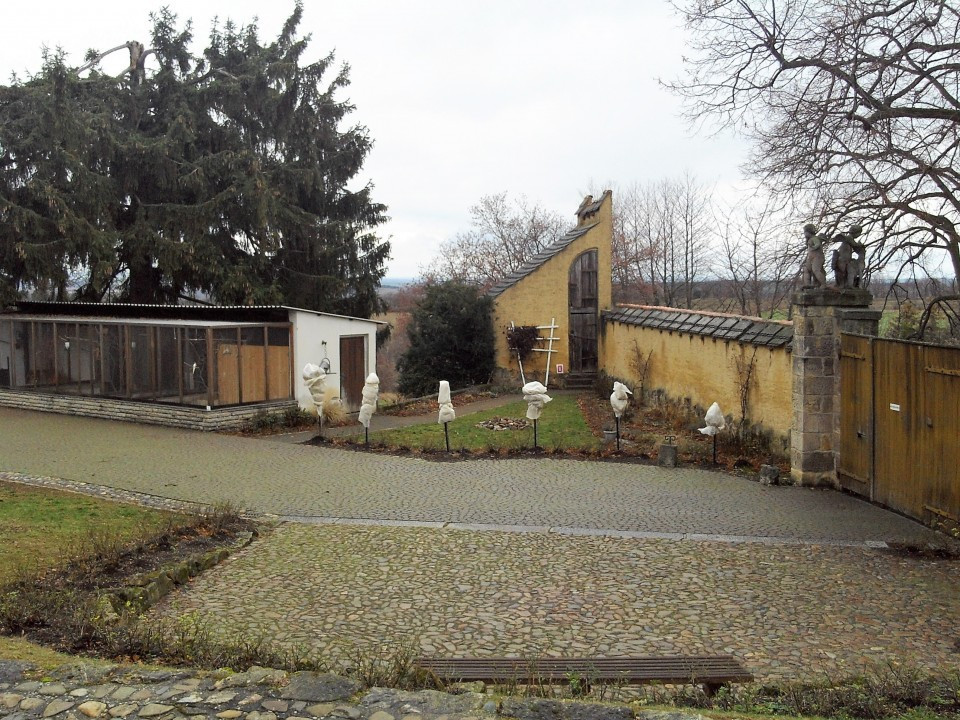 16 Roseburg