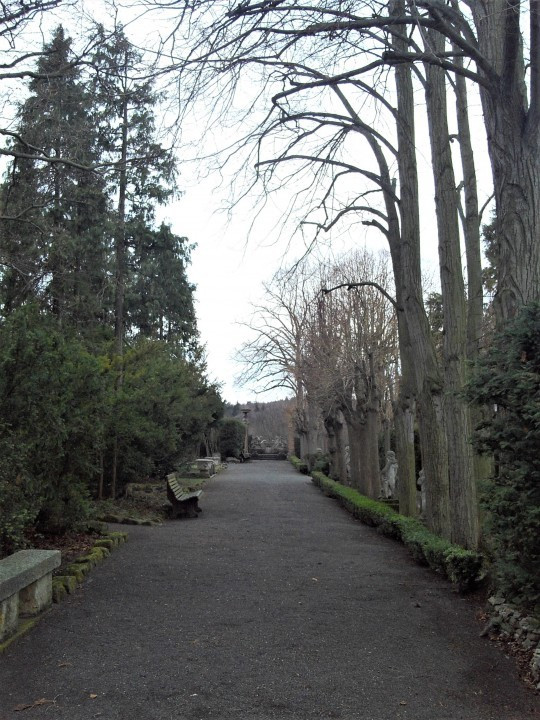 21 Roseburg Park