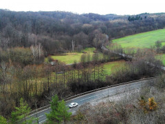 52 Roseburg Aussichtsturm