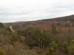 53 Roseburg Aussichtsturm