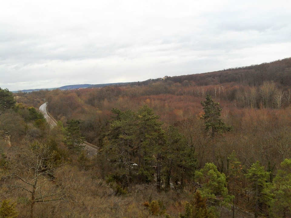 53 Roseburg Aussichtsturm