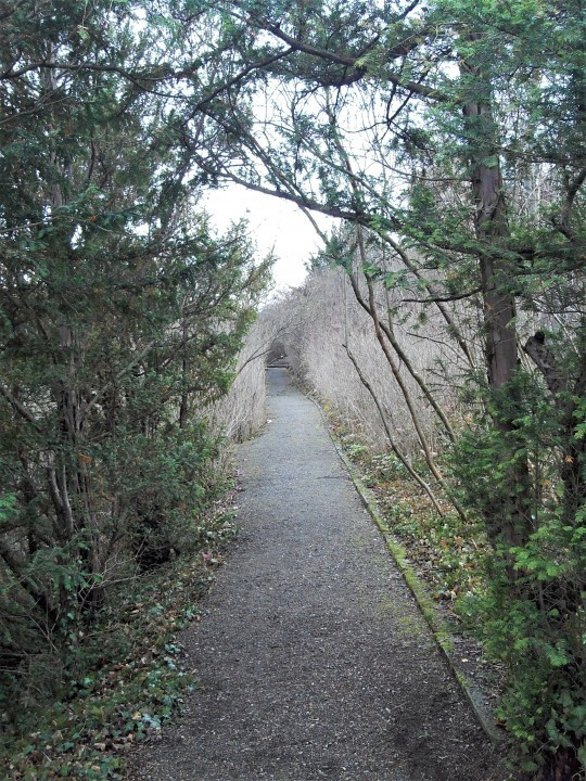 61 Roseburg