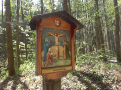 Schwarzlack