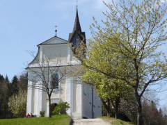 Schwarzlack