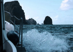 Vestmannaeyjar: Insel Heimaey,  Bootsfahrt zwischen Basaltfelsen