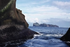Vestmannaeyjar: Insel Heimaey, Vogelinsel  Ellidaey